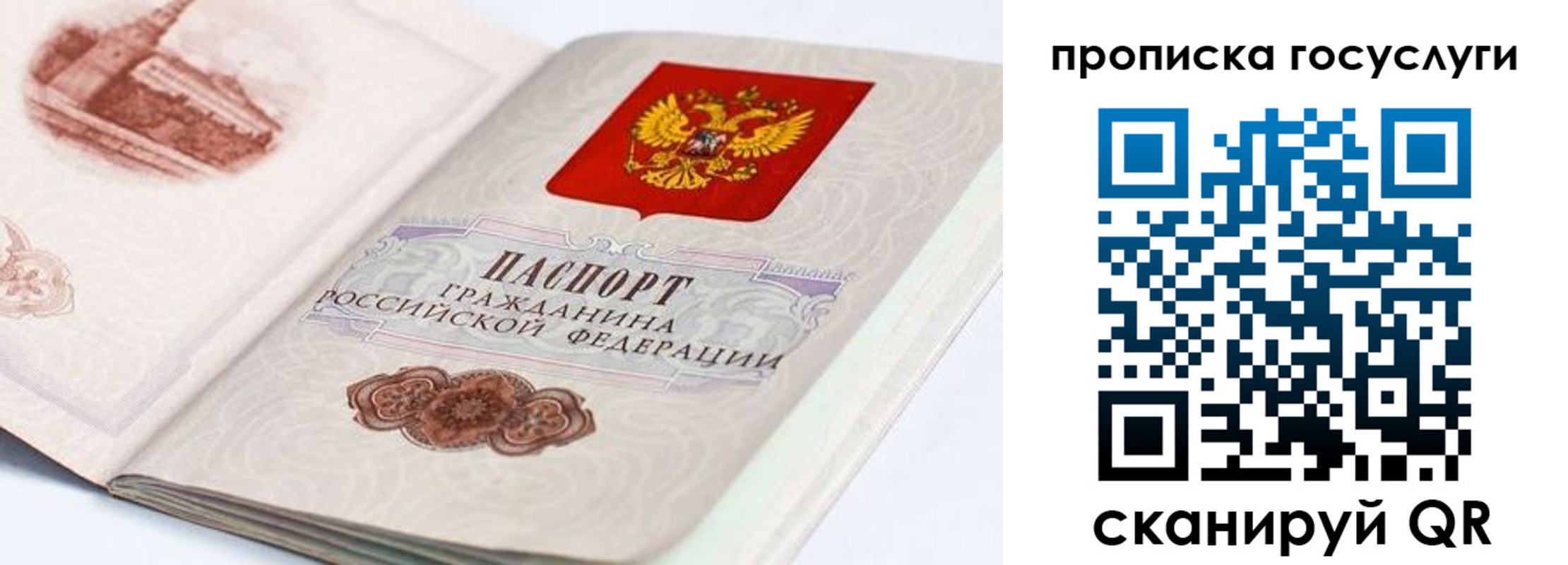 прописка гарантия в Волоколамске
